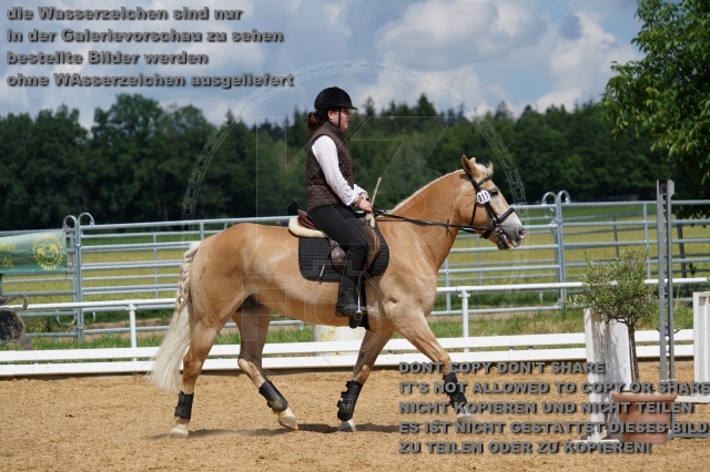 s_K3F05867.JPG
